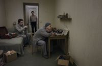 Голубь сидел на ветке, размышляя о бытии (2014)