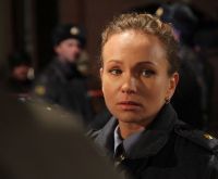 Шеф 2 (2013)