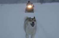 Счастливые люди: Год в тайге (2010)