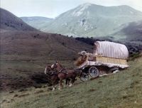 Большие каникулы (1967)