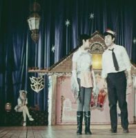 «Тигры» на льду (1971)