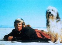 Парень и его пес (1974)