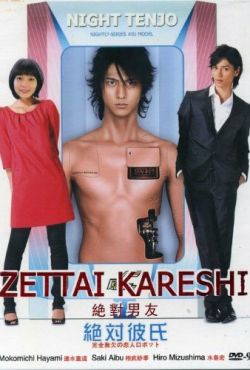 Идеальный парень (2008)