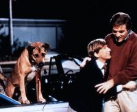 Клиффорд (1991)