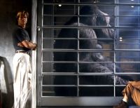 Могучий Джо Янг (1998)