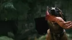 Фоллаут 2 сезон (2025)